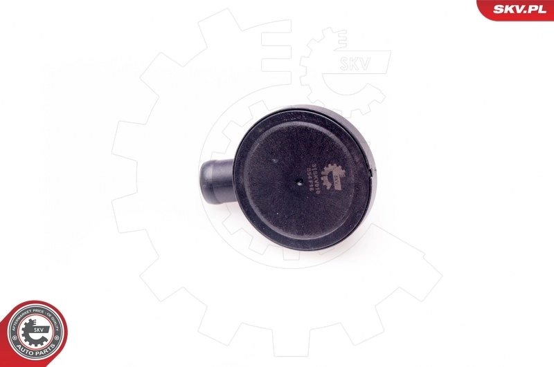 Valve, crankcase ventilation 31SKV010