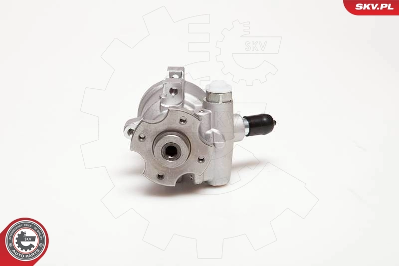 Hydraulic Pump, steering 10SKV178