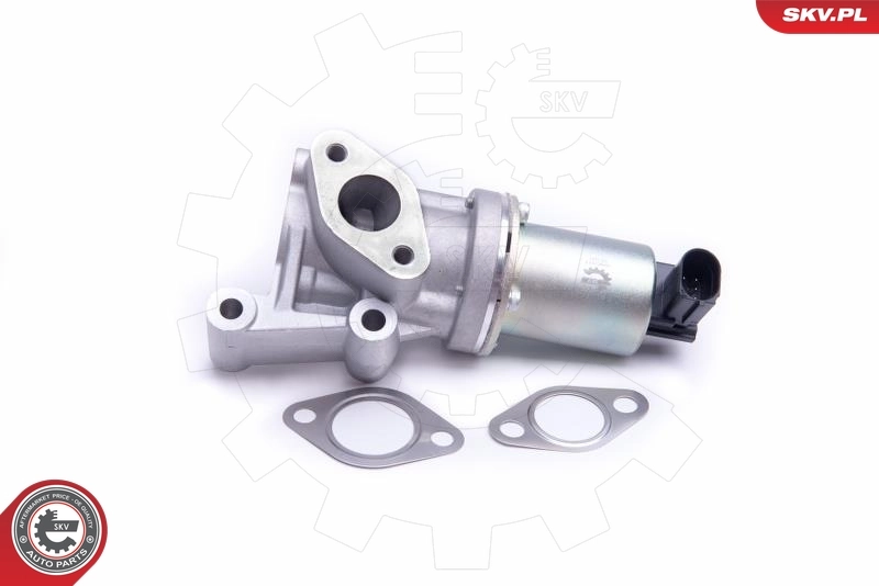 EGR Valve 14SKV213