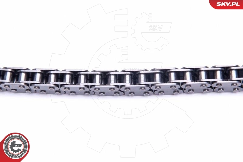Timing Chain Kit 21SKV239