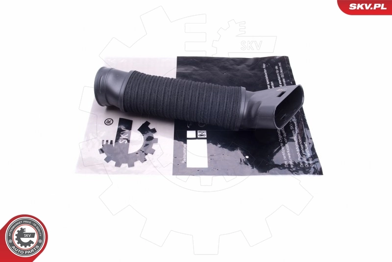 Intake Hose, air filter 43SKV918