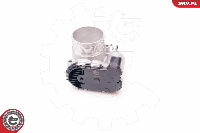 Throttle Body 12SKV068