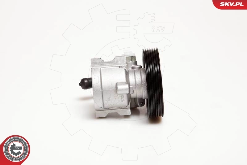 Hydraulic Pump, steering 10SKV025