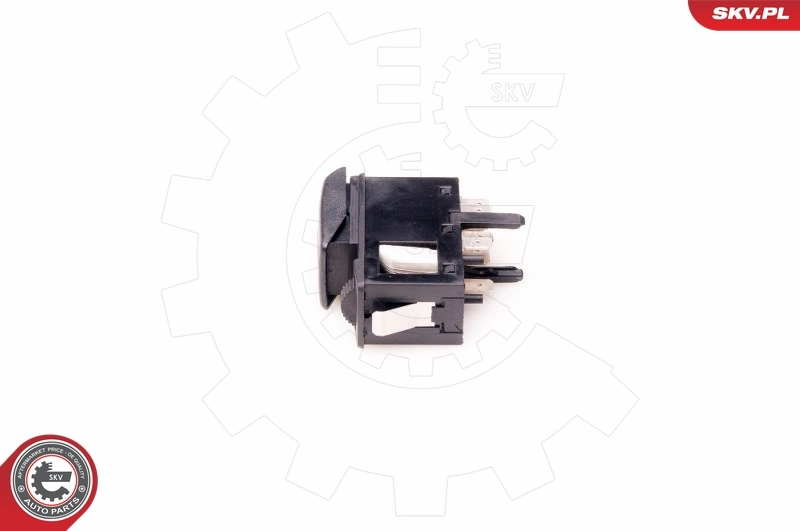 Switch, headlight 36SKV002