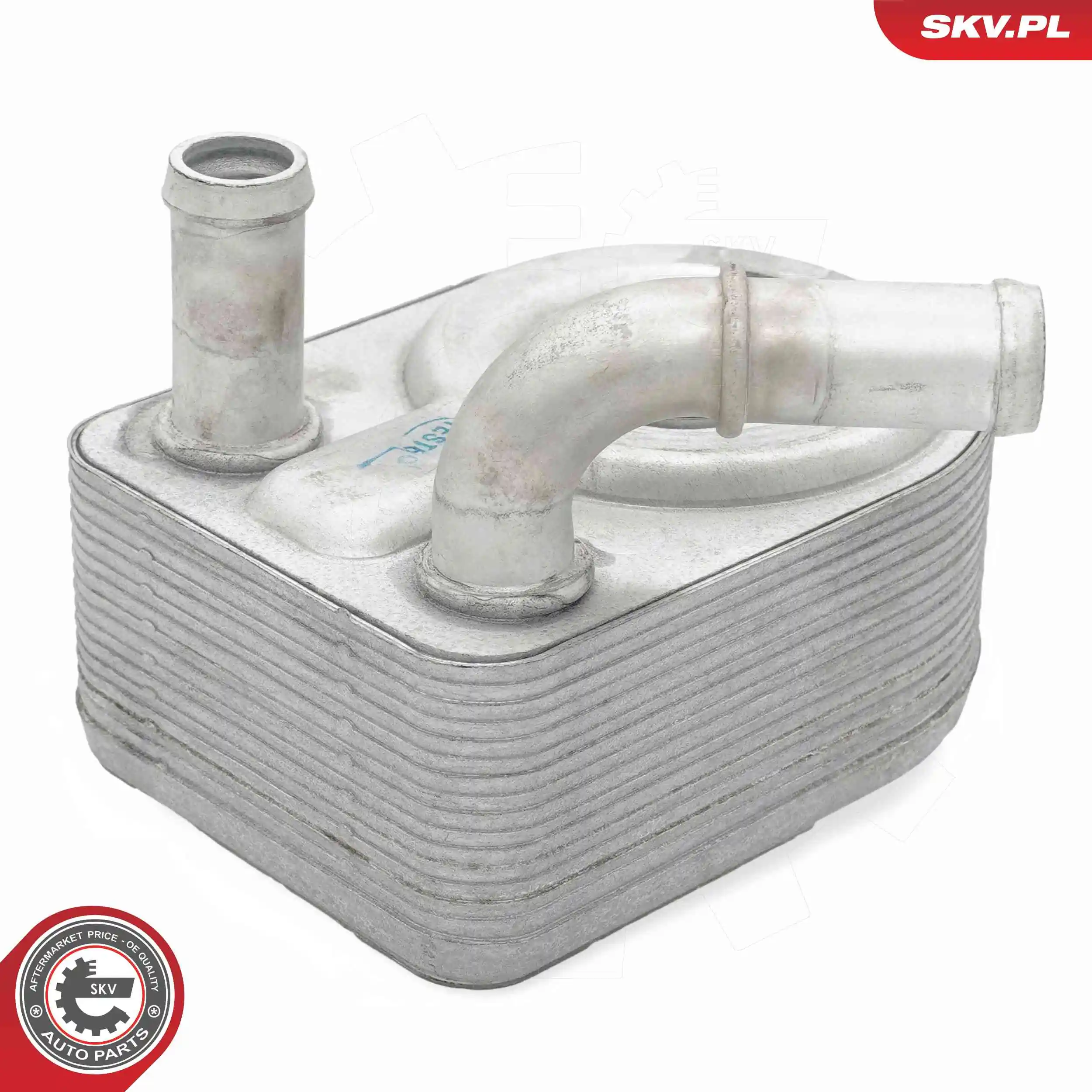 Oil Cooler, engine oil 31SKV303