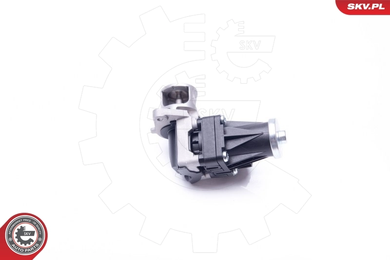 EGR Valve 14SKV159