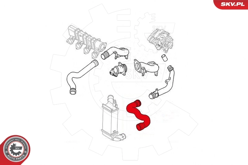 Charge Air Hose 43SKV030