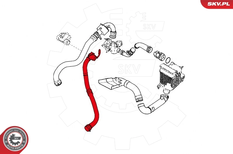 Charge Air Hose 24SKV662