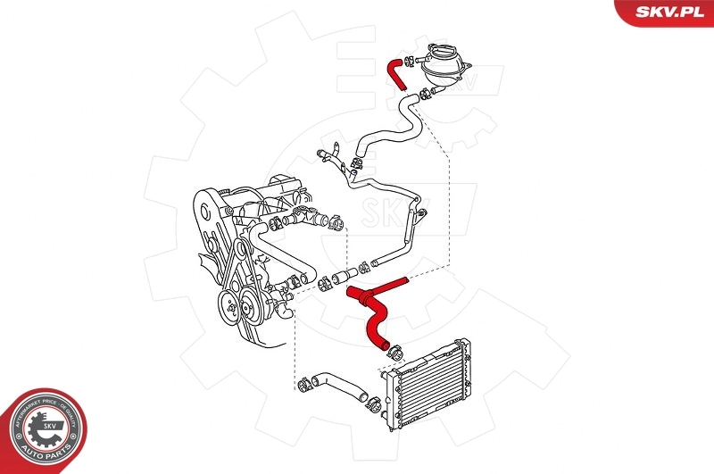 Radiator Hose 43SKV700