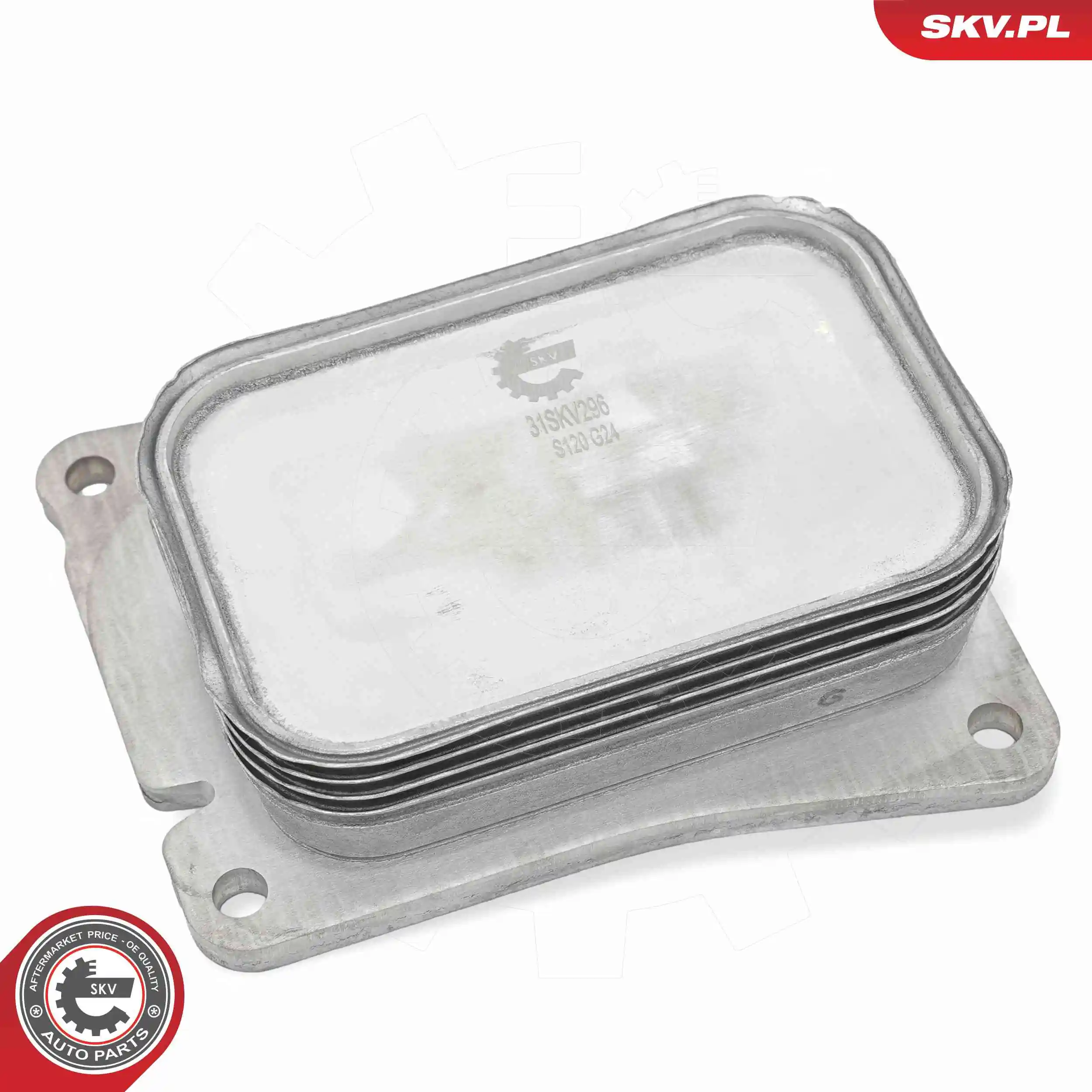 Oil Cooler, engine oil 31SKV296