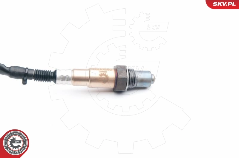 Oxygen Sensor 09SKV702