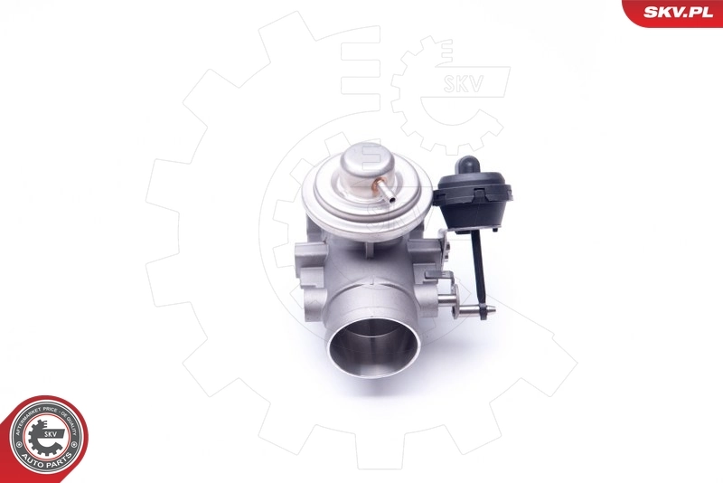 EGR Valve 14SKV107