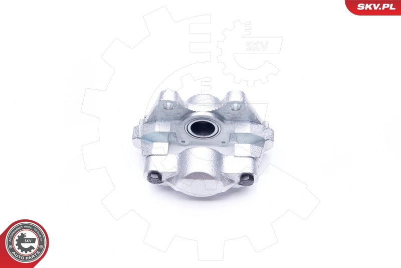 Brake Caliper 34SKV904