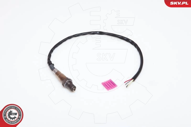 Oxygen Sensor 09SKV905