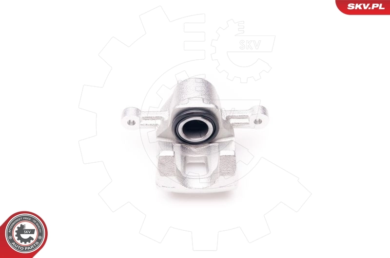 Brake Caliper 34SKV363