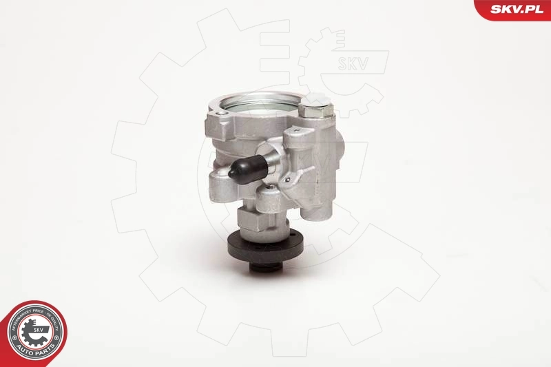 Hydraulic Pump, steering 10SKV054