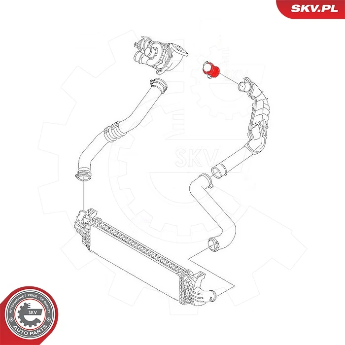 Charge Air Hose 43SKV467