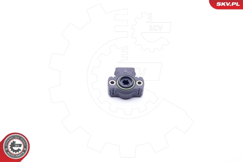 Sensor, throttle position 17SKV011