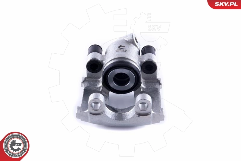 Brake Caliper 55SKV163