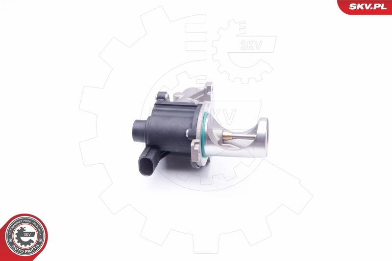 EGR Valve 14SKV172