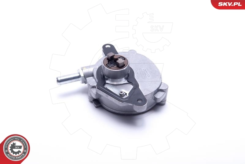 Vacuum Pump, braking system 18SKV023