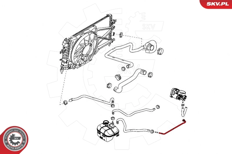 Radiator Hose 43SKV726