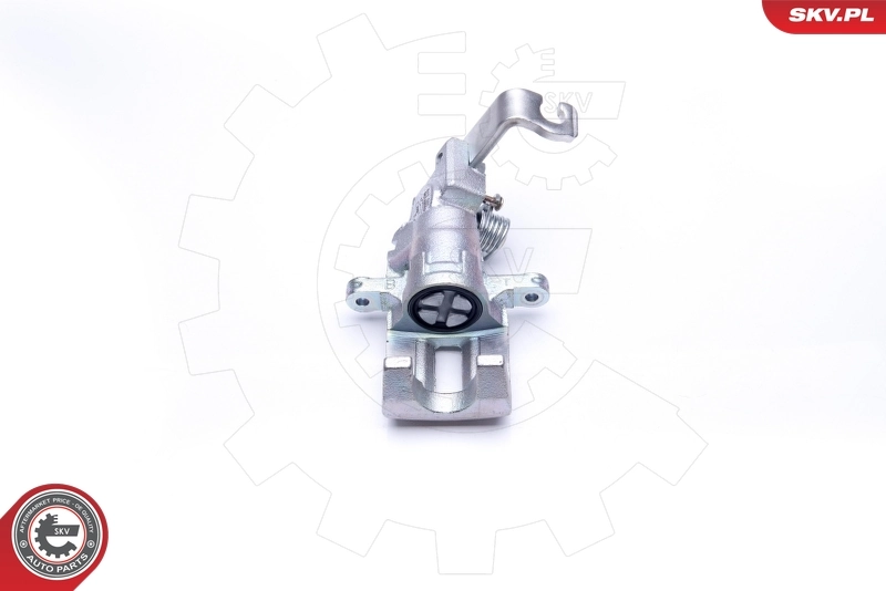 Brake Caliper 45SKV124