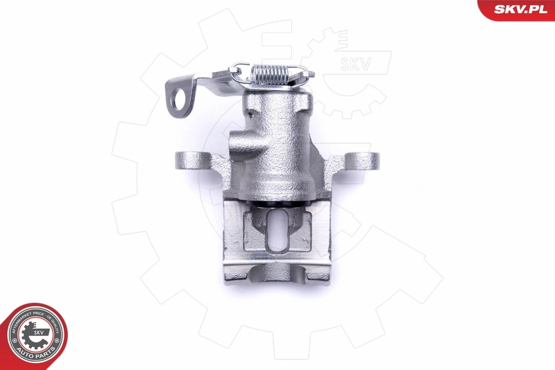 Brake Caliper 46SKV844