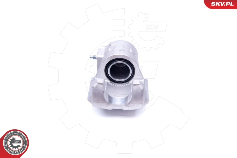 Brake Caliper 42SKV671