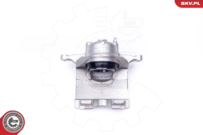 Brake Caliper 42SKV502