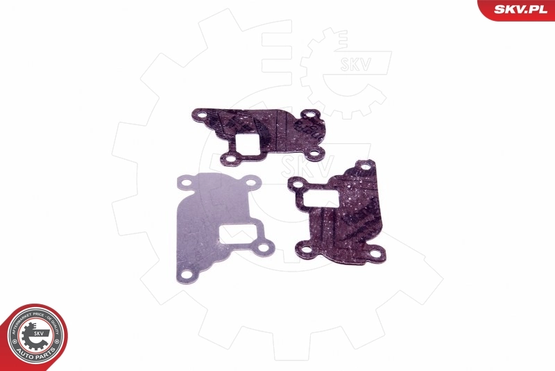 ESEN SKV 14SKV527 Repair Set, EGR valve