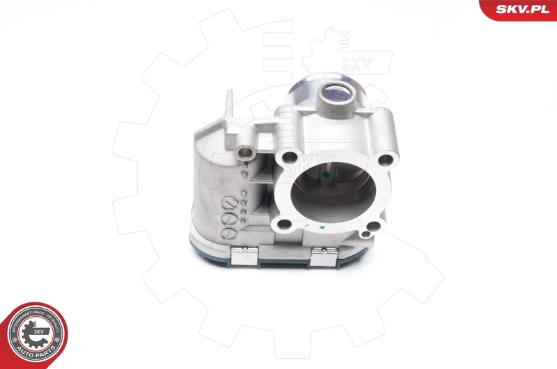 Throttle Body 12SKV043
