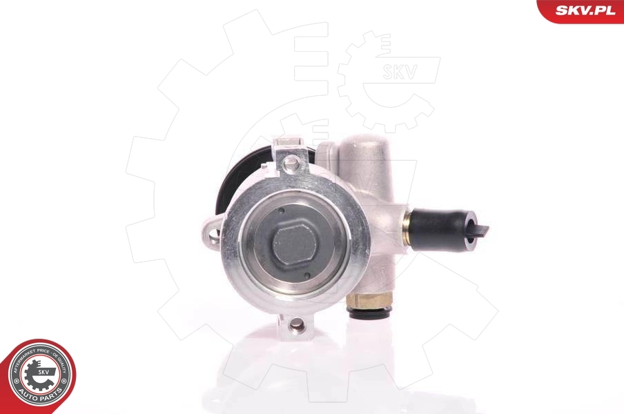 Hydraulic Pump, steering 10SKV118