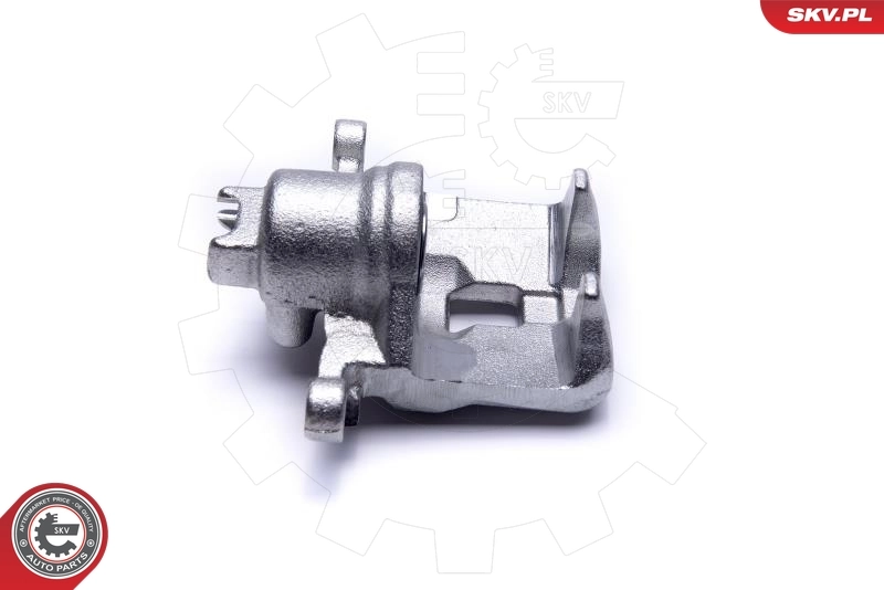 Brake Caliper 55SKV553