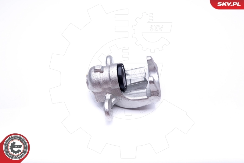 Brake Caliper 42SKV604