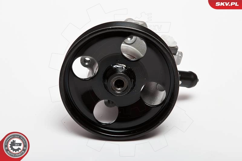 Hydraulic Pump, steering 10SKV023