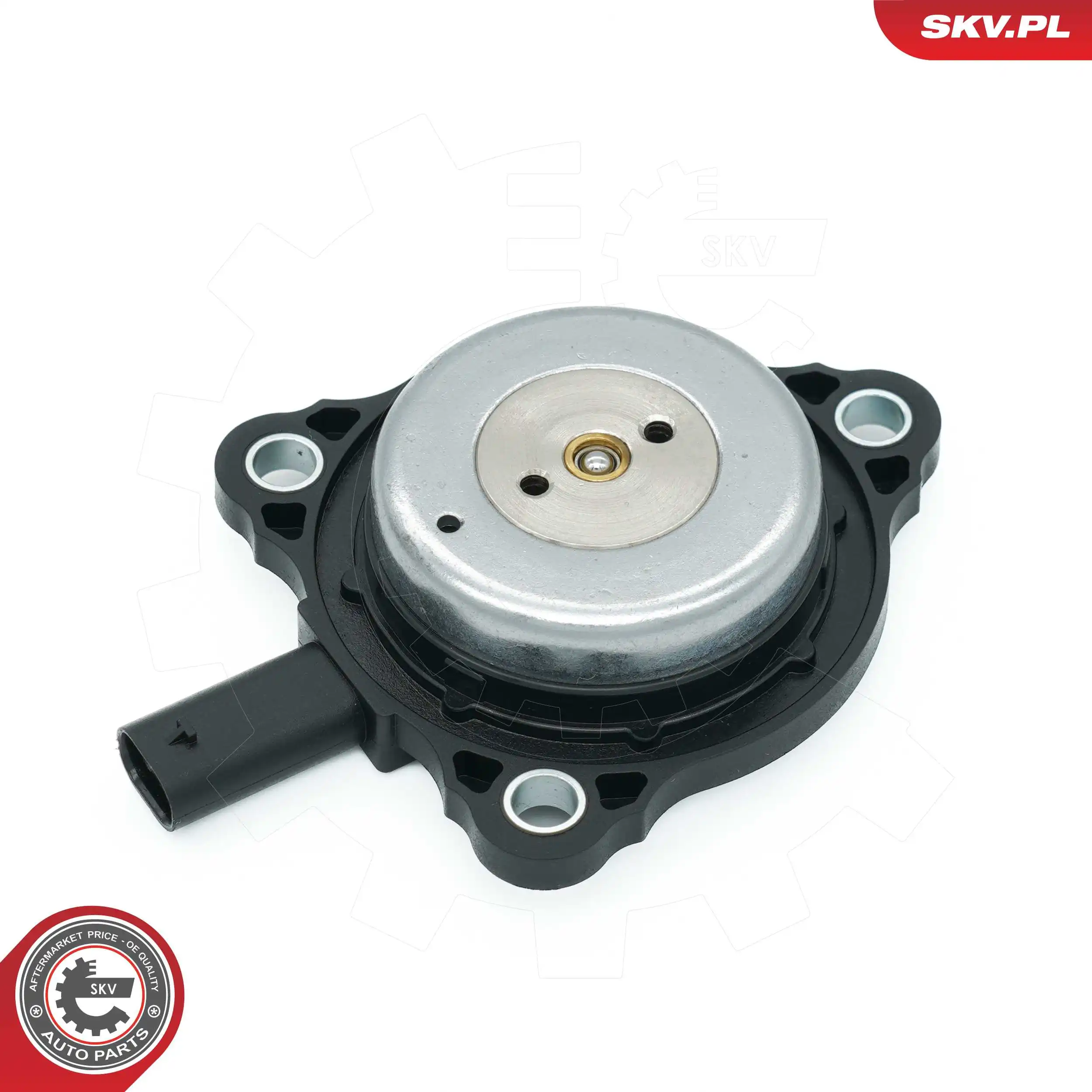 Central Magnet, camshaft adjustment 39SKV905