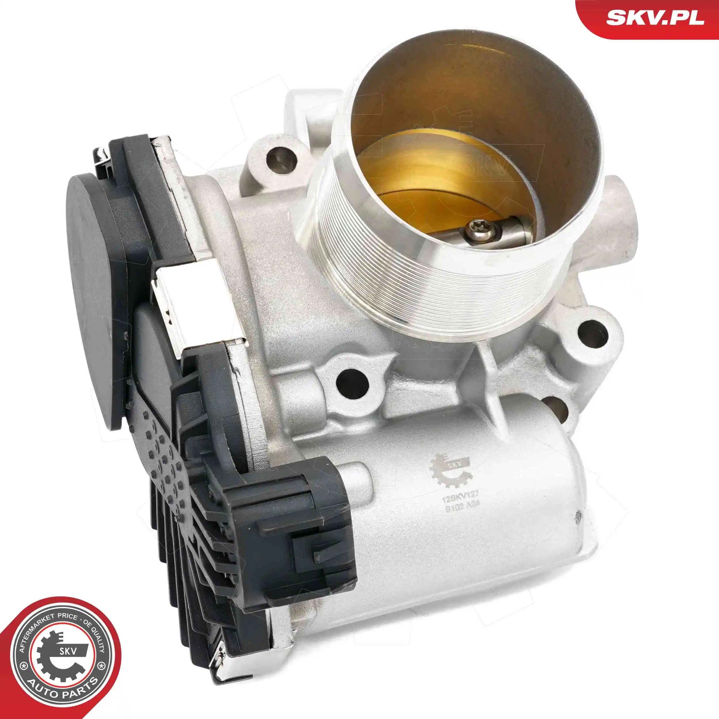 Throttle Body 12SKV127