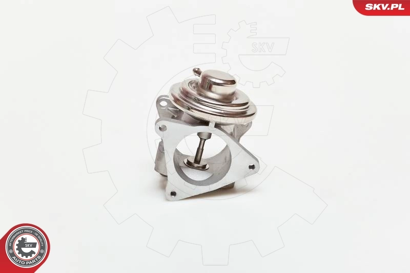 EGR Valve 14SKV019