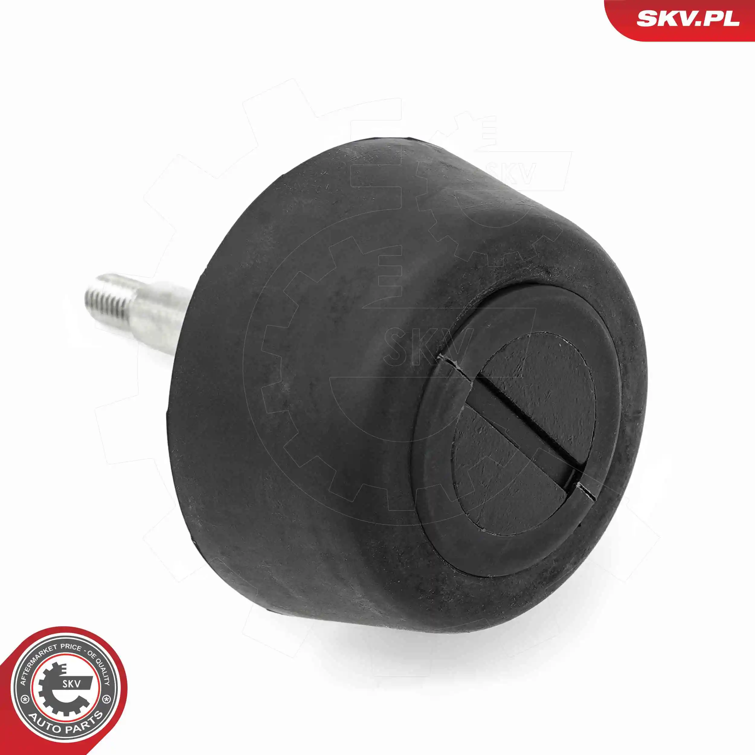 ESEN SKV 16SKV934 Door Check