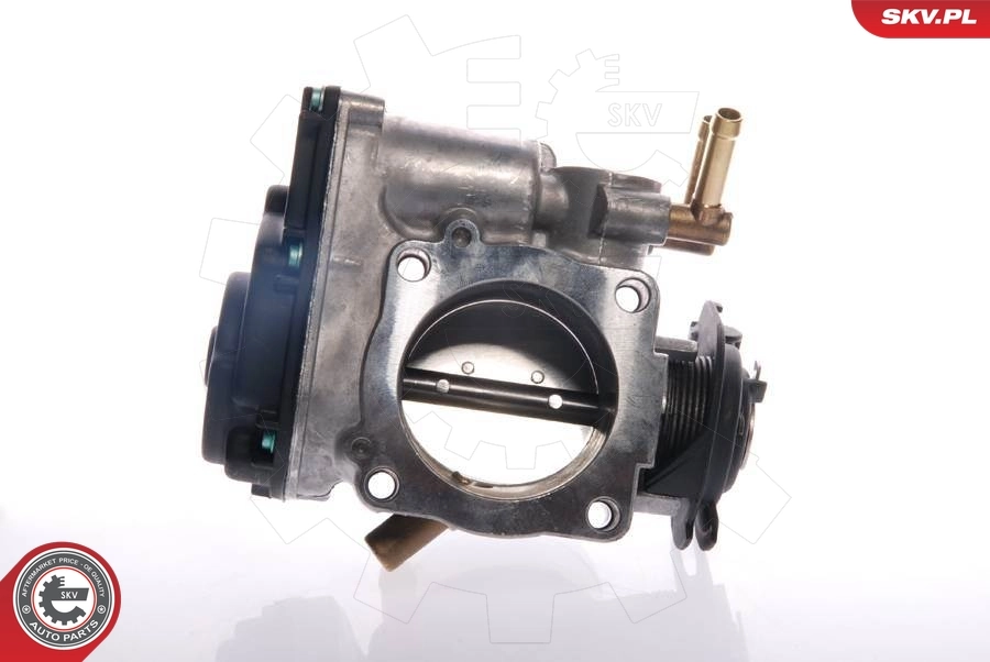 ESEN SKV 12SKV021 Throttle Body