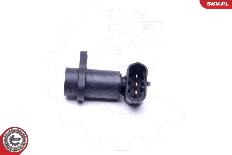 Sensor, camshaft position 17SKV498