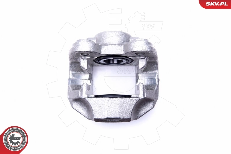 Brake Caliper 45SKV441