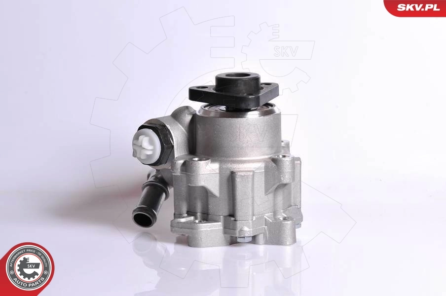 Hydraulic Pump, steering 10SKV167