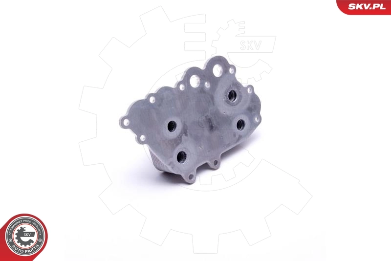 Oil Cooler, engine oil 31SKV218