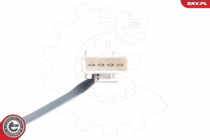 Oxygen Sensor 09SKV097