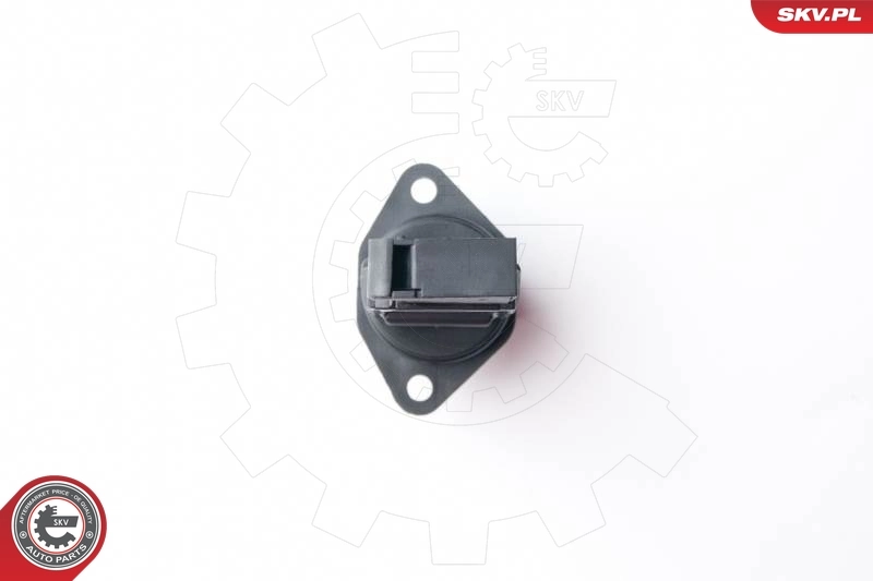 Mass Air Flow Sensor 07SKV507