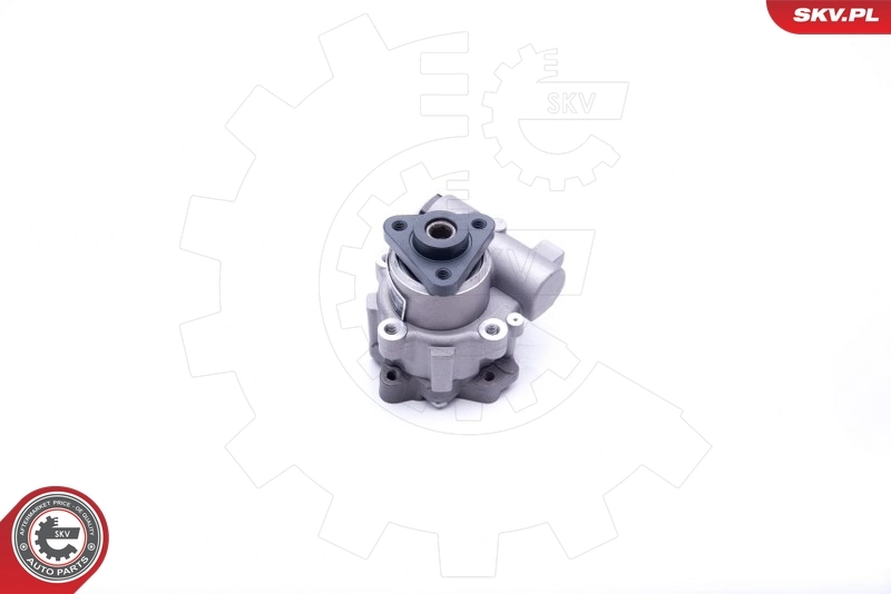 Hydraulic Pump, steering 10SKV243