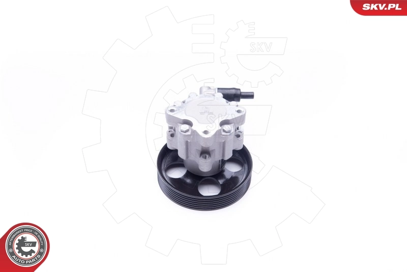 Hydraulic Pump, steering 10SKV240