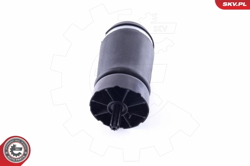 Air Spring, suspension 58SKV013
